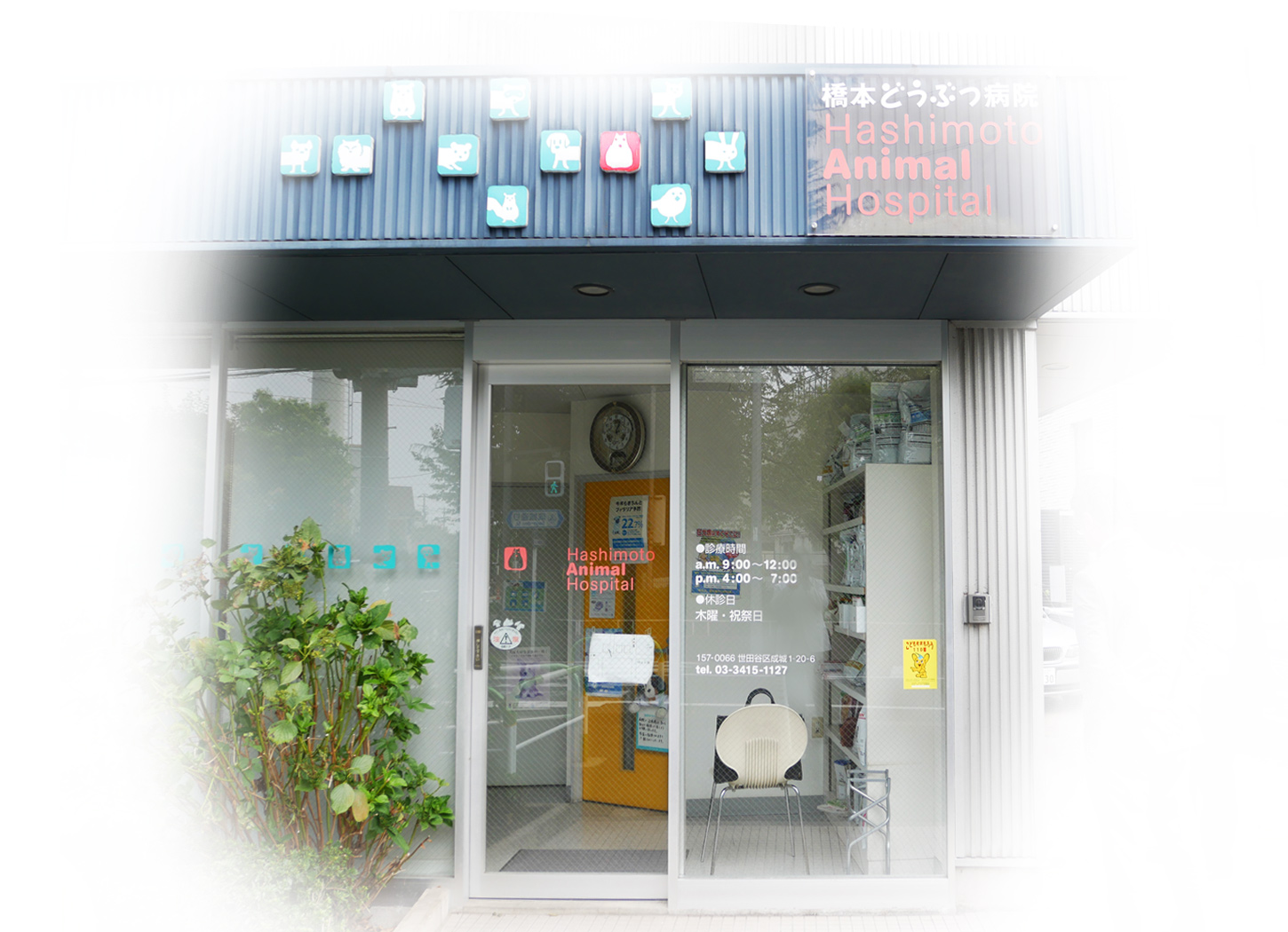 橋本どうぶつ病院_院長